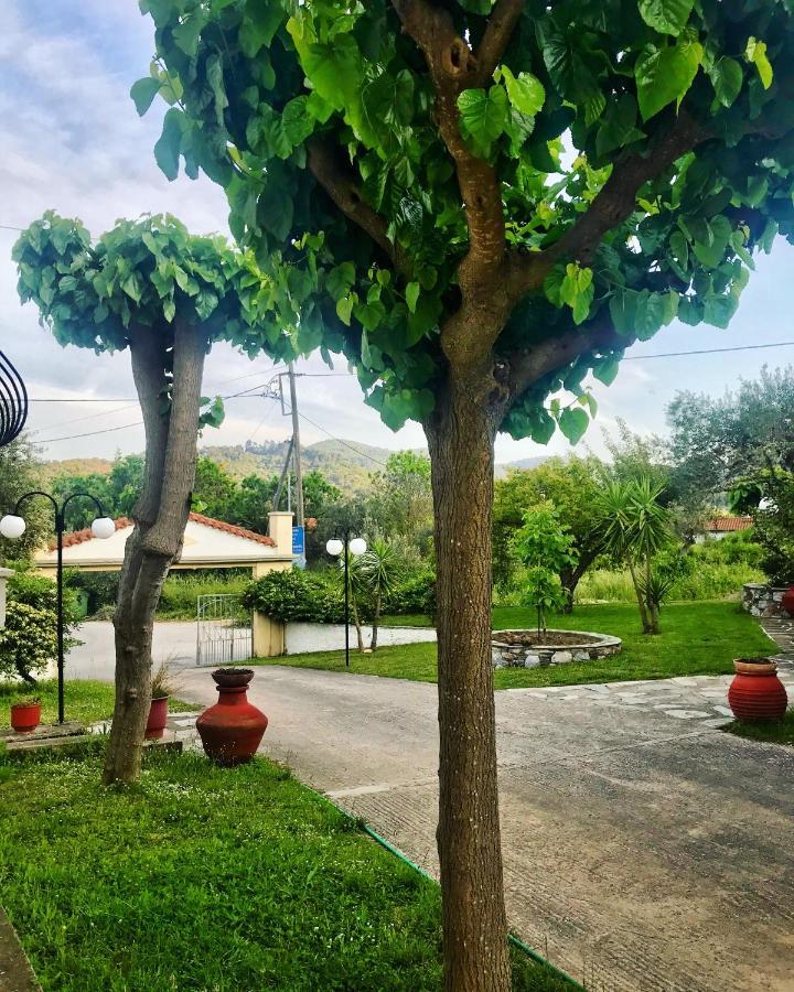 סקופלוס טאון Pansion Episkopi Studios מראה חיצוני תמונה
