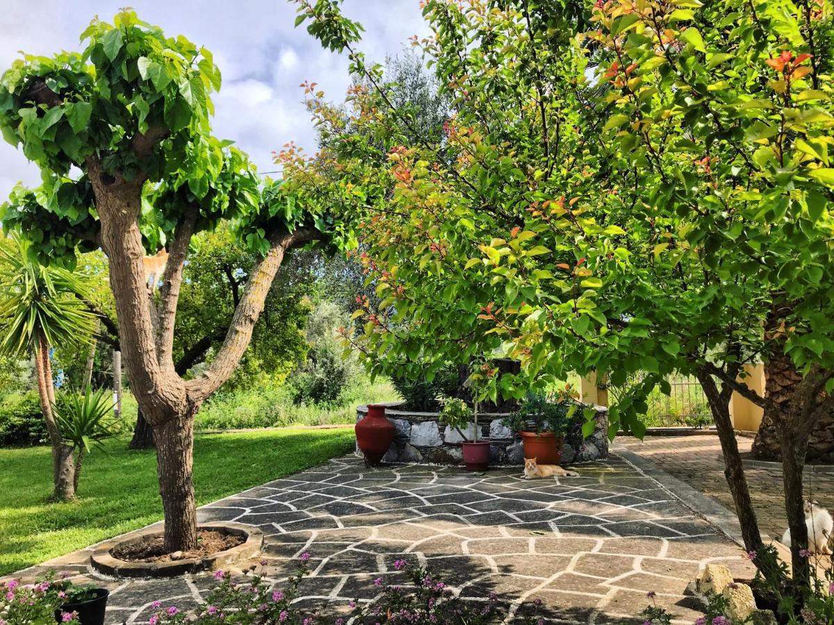 סקופלוס טאון Pansion Episkopi Studios מראה חיצוני תמונה