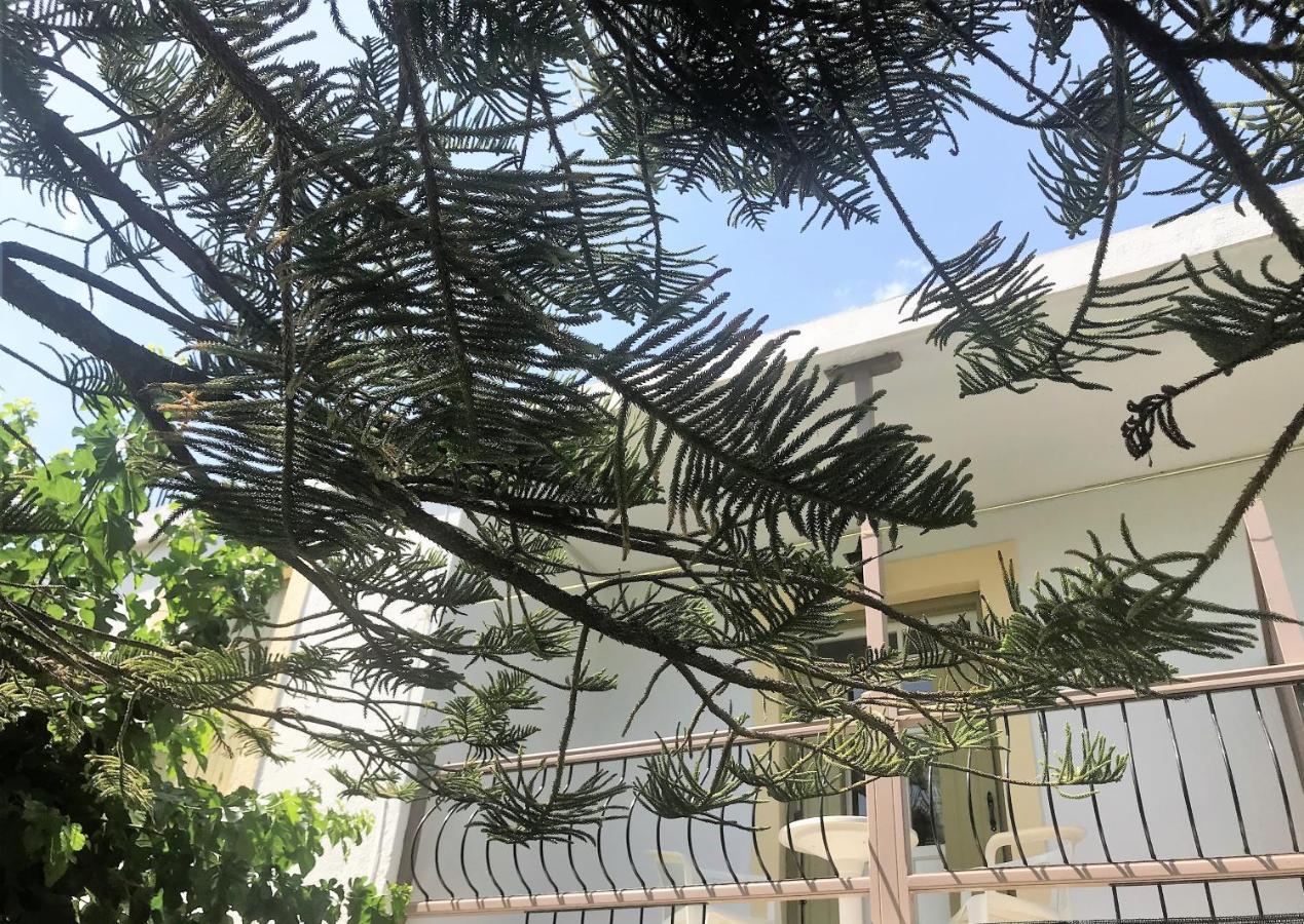 סקופלוס טאון Pansion Episkopi Studios מראה חיצוני תמונה