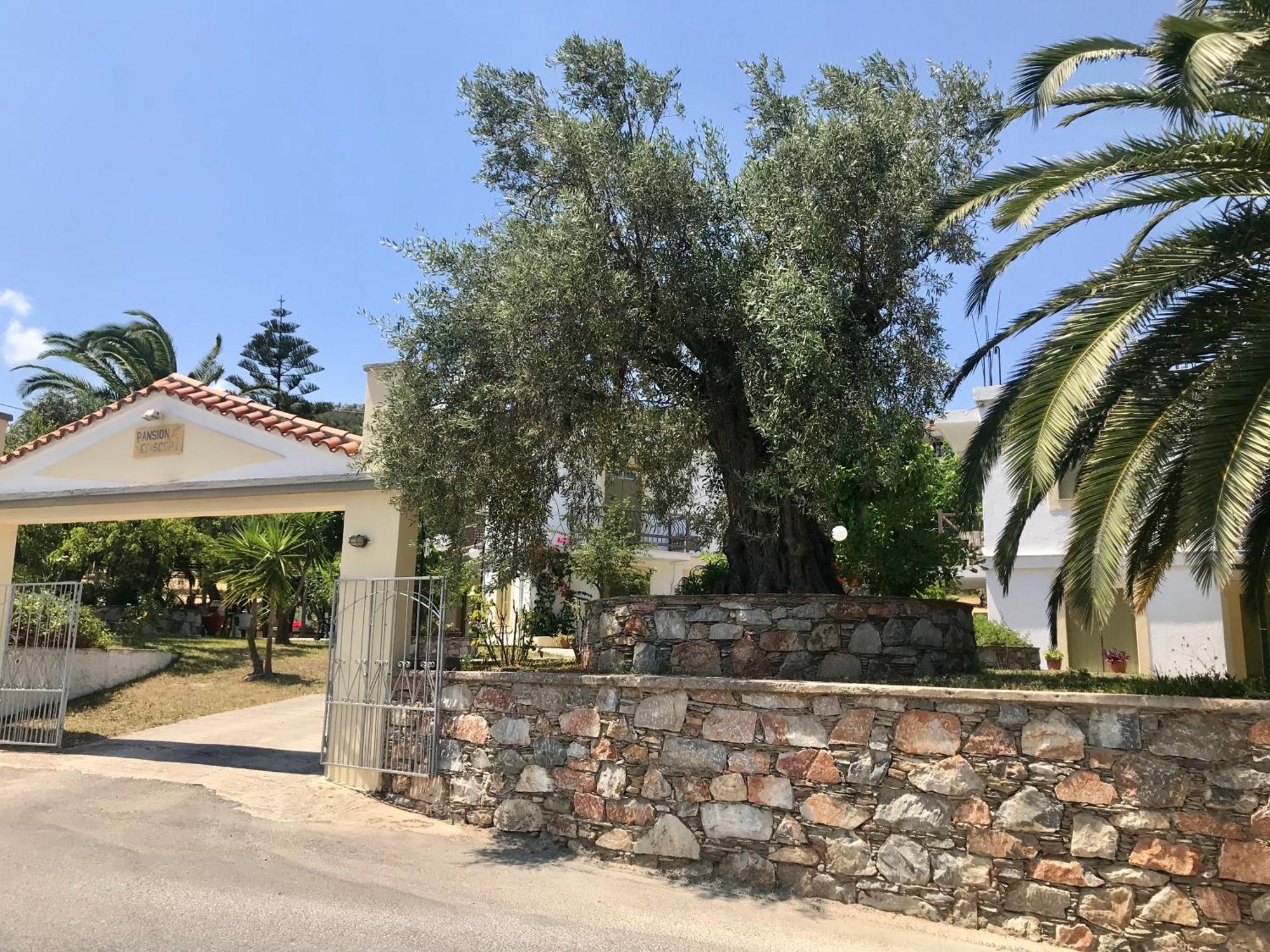 סקופלוס טאון Pansion Episkopi Studios מראה חיצוני תמונה
